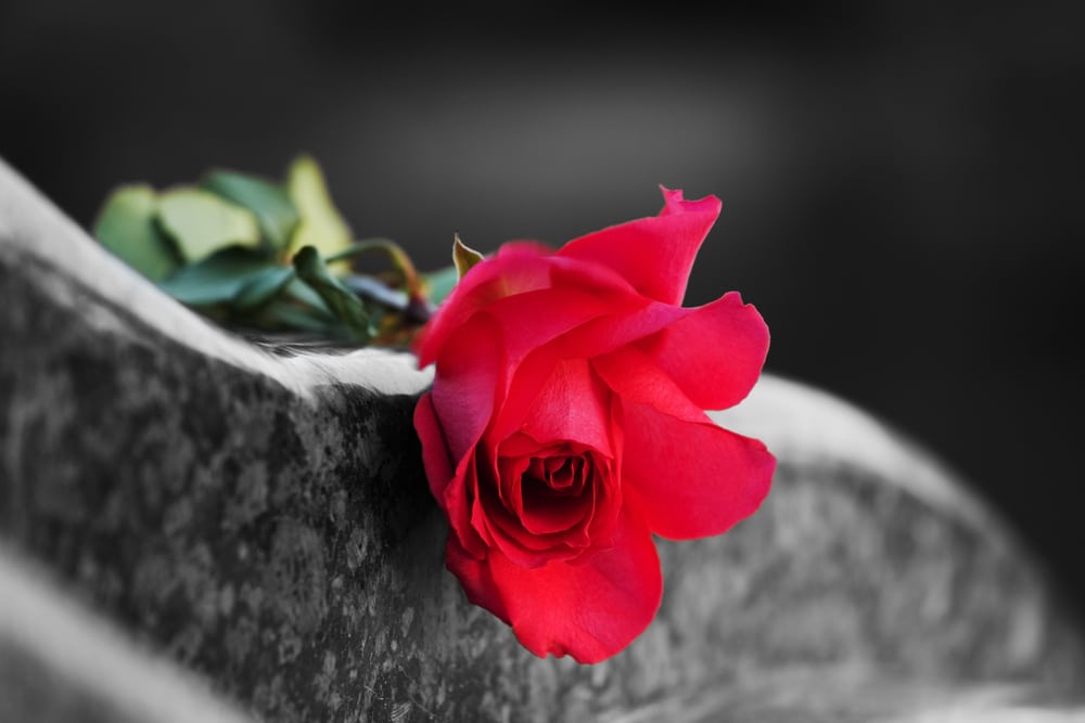 how-to-get-over-death-of-a-loved-one-poetry-by-word-hubpages